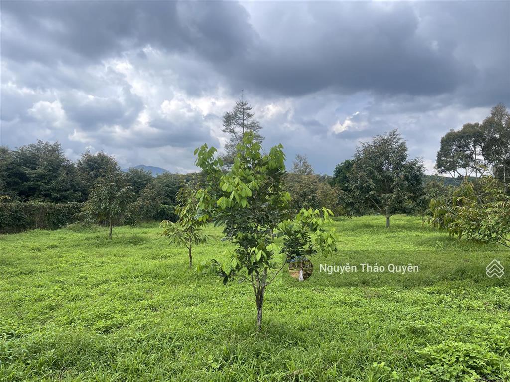 Tuyệt tác kiến trúc châu âu trên đất rộng 7317.6m2 đầu tư sinh lời hoặc nghỉ dưỡng đẳng cấp