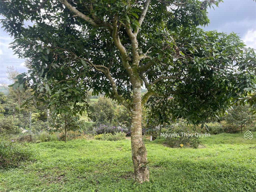 Tuyệt tác kiến trúc châu âu trên đất rộng 7317.6m2 đầu tư sinh lời hoặc nghỉ dưỡng đẳng cấp