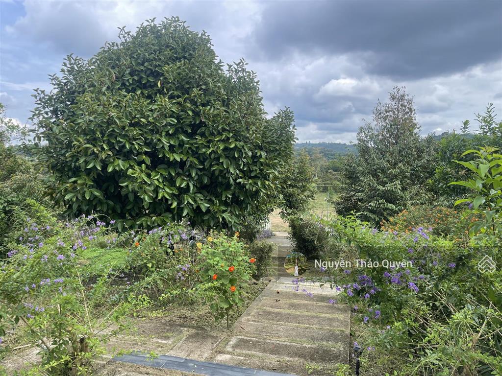 Tuyệt tác kiến trúc châu âu trên đất rộng 7317.6m2 đầu tư sinh lời hoặc nghỉ dưỡng đẳng cấp