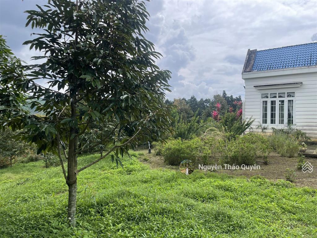 Tuyệt tác kiến trúc châu âu trên đất rộng 7317.6m2 đầu tư sinh lời hoặc nghỉ dưỡng đẳng cấp