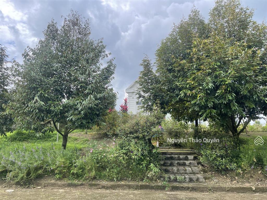 Tuyệt tác kiến trúc châu âu trên đất rộng 7317.6m2 đầu tư sinh lời hoặc nghỉ dưỡng đẳng cấp