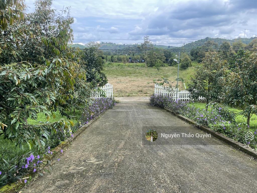 Tuyệt tác kiến trúc châu âu trên đất rộng 7317.6m2 đầu tư sinh lời hoặc nghỉ dưỡng đẳng cấp