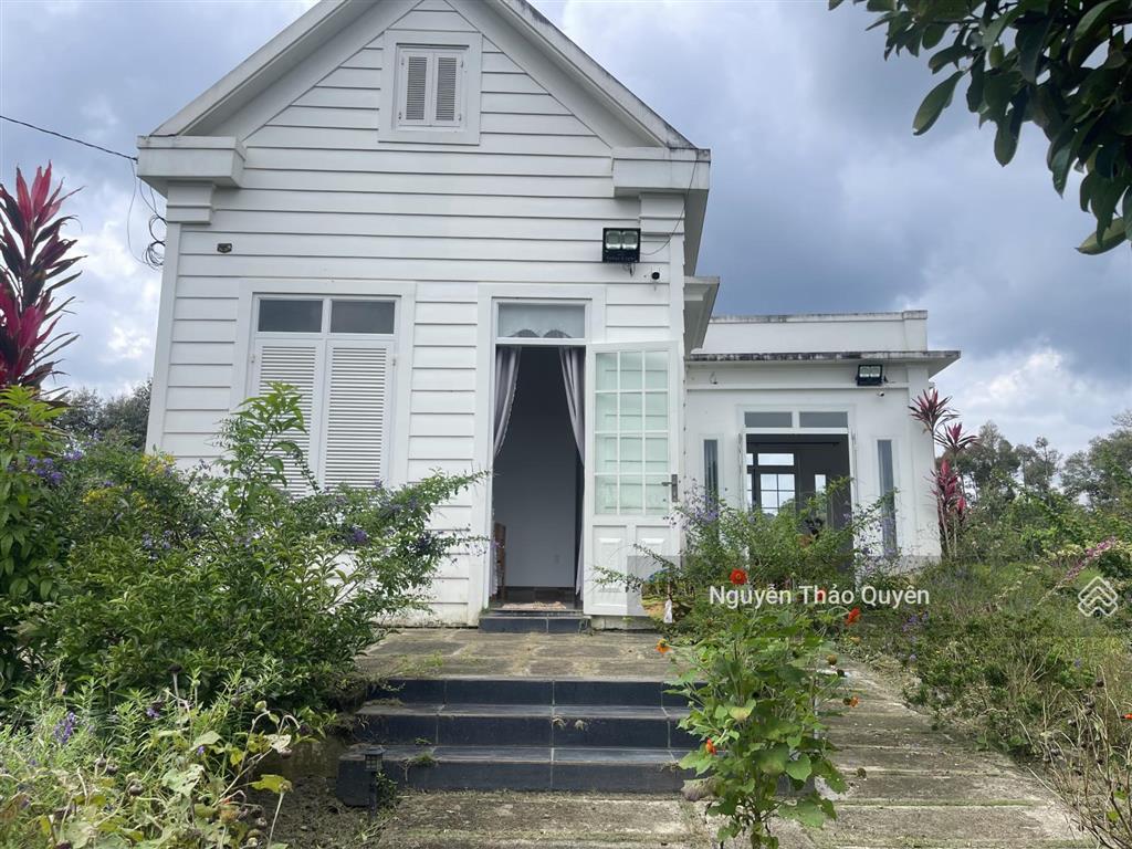 Tuyệt tác kiến trúc châu âu trên đất rộng 7317.6m2 đầu tư sinh lời hoặc nghỉ dưỡng đẳng cấp