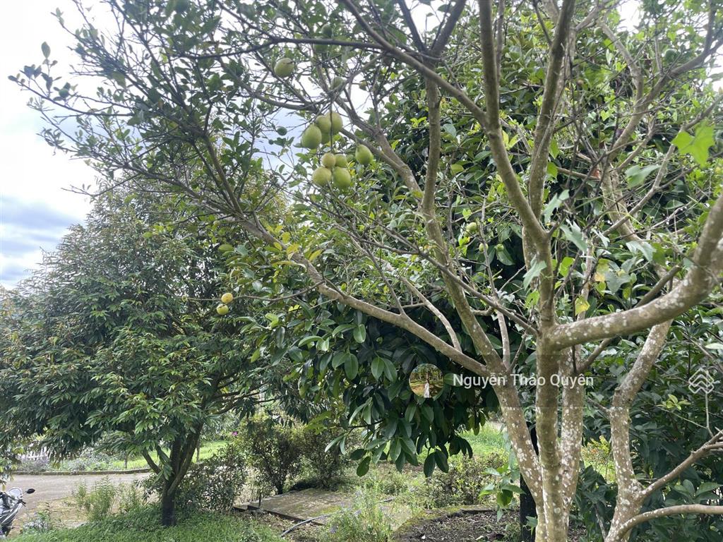 Tuyệt tác kiến trúc châu âu trên đất rộng 7317.6m2 đầu tư sinh lời hoặc nghỉ dưỡng đẳng cấp