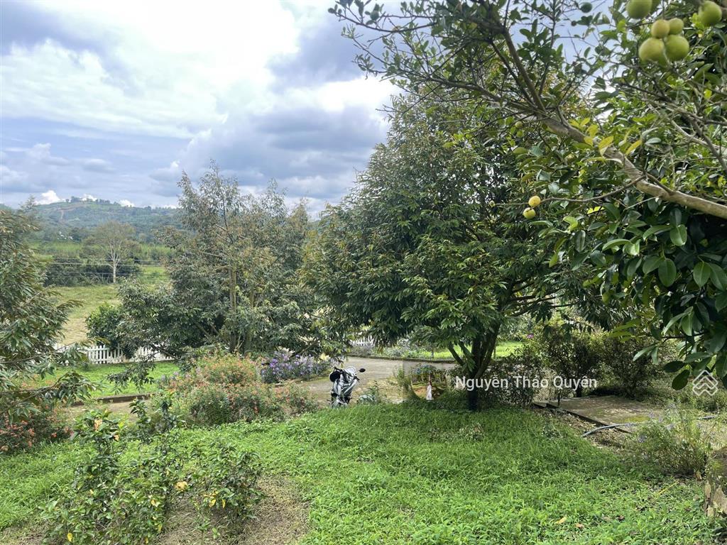 Tuyệt tác kiến trúc châu âu trên đất rộng 7317.6m2 đầu tư sinh lời hoặc nghỉ dưỡng đẳng cấp