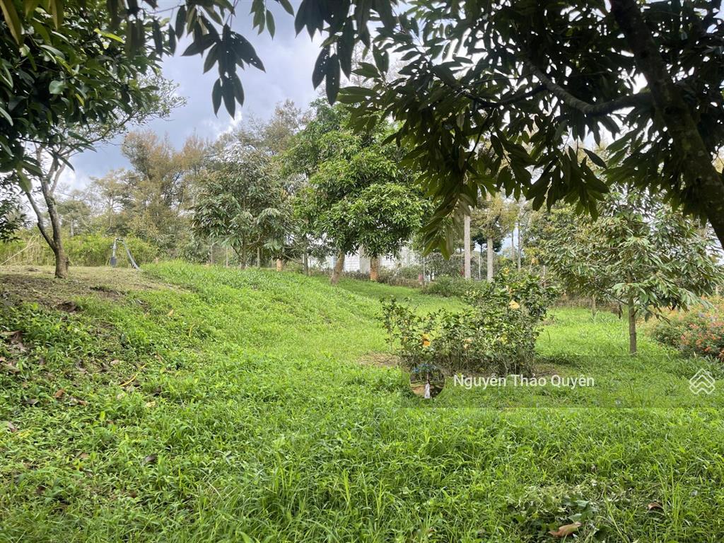 Tuyệt tác kiến trúc châu âu trên đất rộng 7317.6m2 đầu tư sinh lời hoặc nghỉ dưỡng đẳng cấp