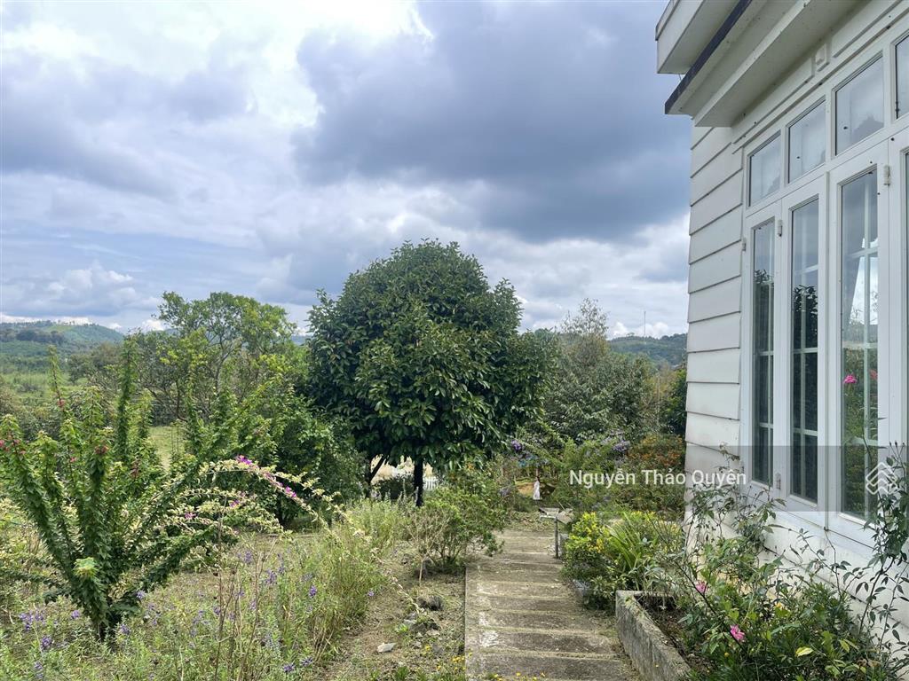 Tuyệt tác kiến trúc châu âu trên đất rộng 7317.6m2 đầu tư sinh lời hoặc nghỉ dưỡng đẳng cấp