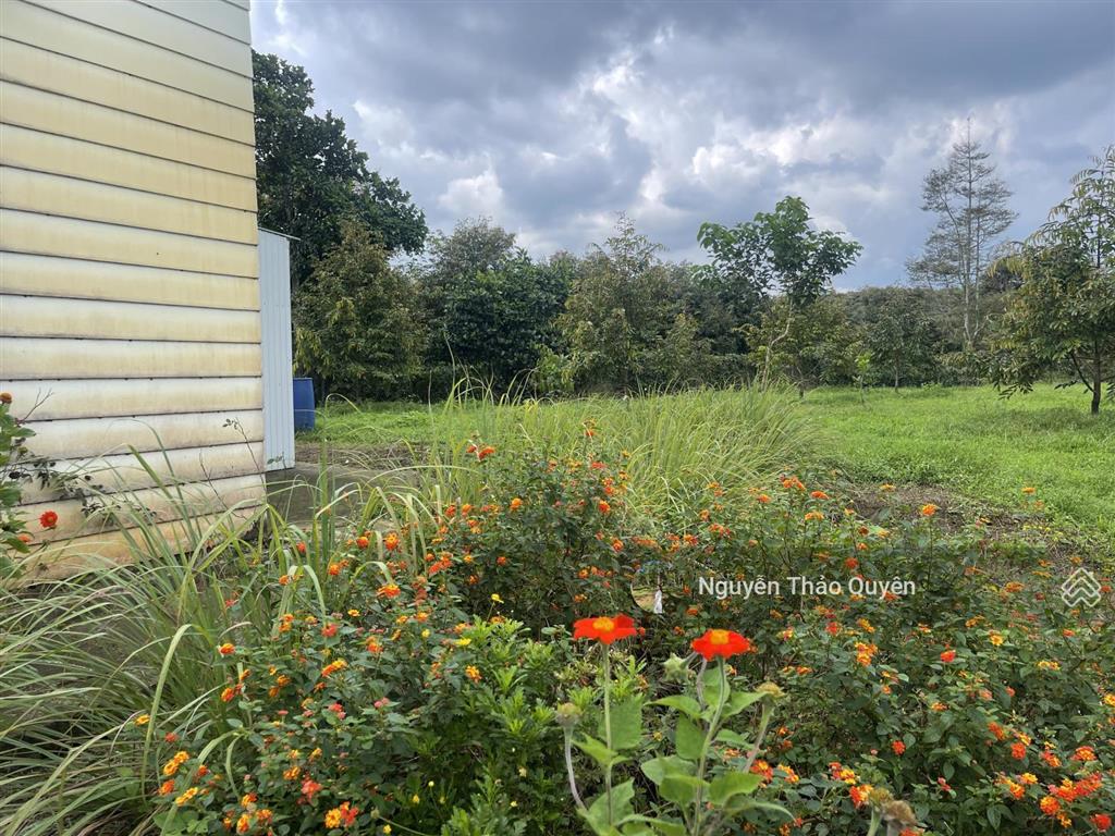 Tuyệt tác kiến trúc châu âu trên đất rộng 7317.6m2 đầu tư sinh lời hoặc nghỉ dưỡng đẳng cấp