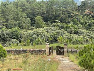 View nghỉ dưỡng đồi thông  view suối trước mặt  mặt tiền blao xê rê