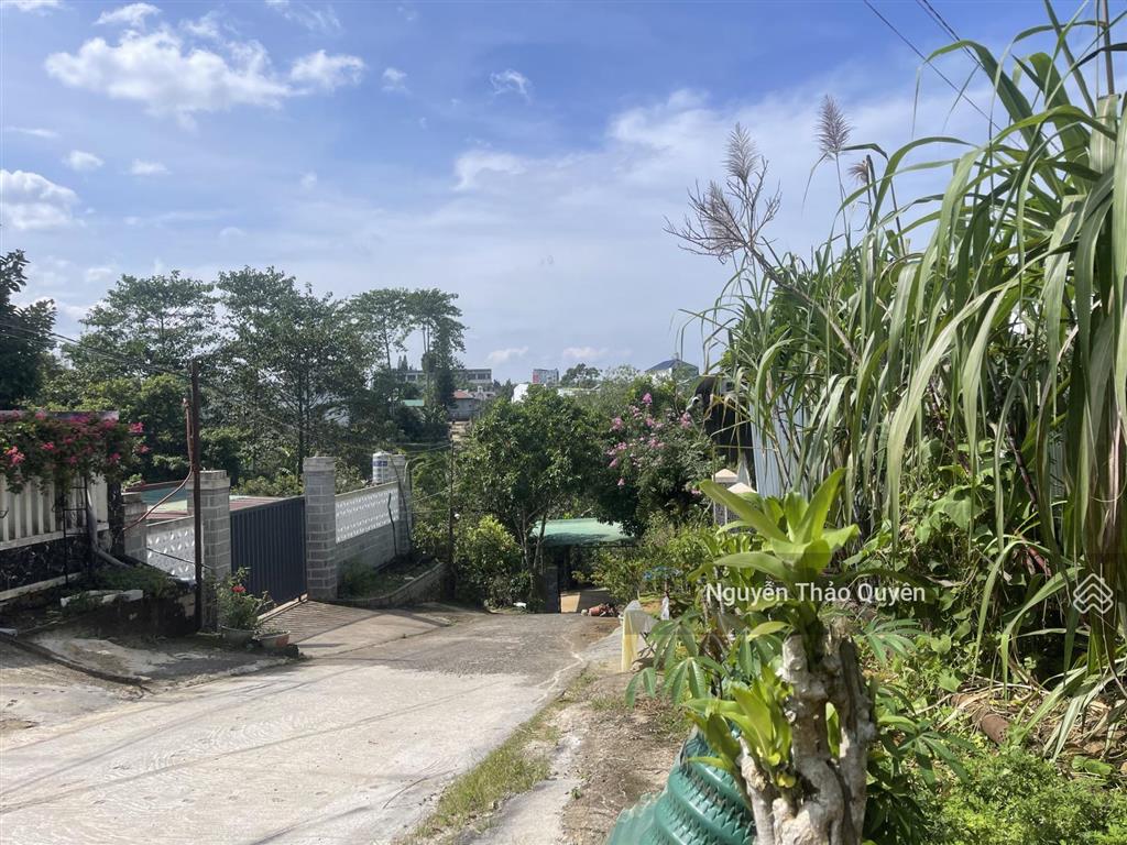 Đất 2 mặt tiền hẻm nhựa 2 ô tô né nhau hẻm bùi thị xuân  phường 1  bảo lộc