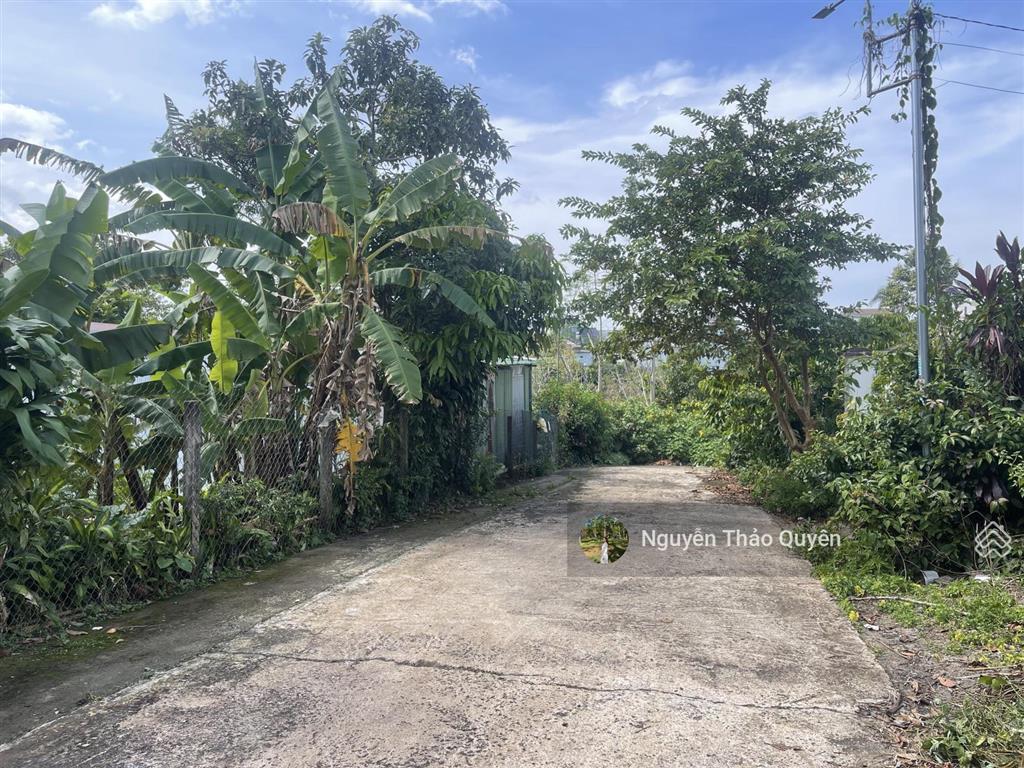 Đất 2 mặt tiền hẻm nhựa 2 ô tô né nhau hẻm bùi thị xuân  phường 1  bảo lộc