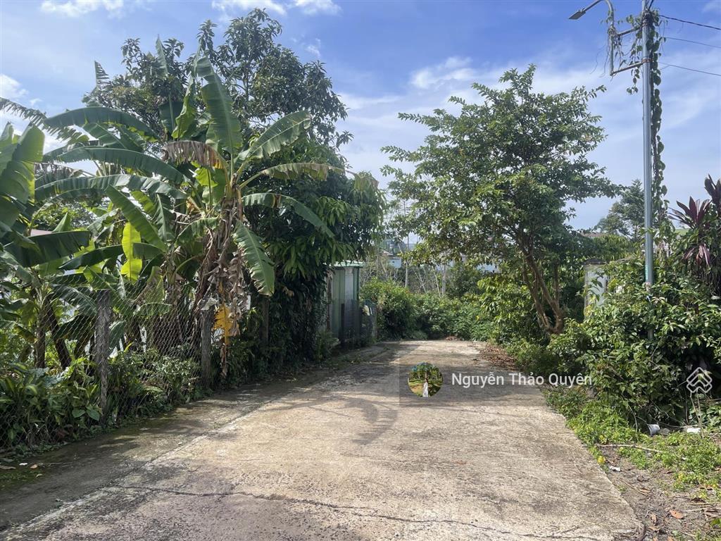 Đất 2 mặt tiền hẻm nhựa 2 ô tô né nhau hẻm bùi thị xuân  phường 1  bảo lộc