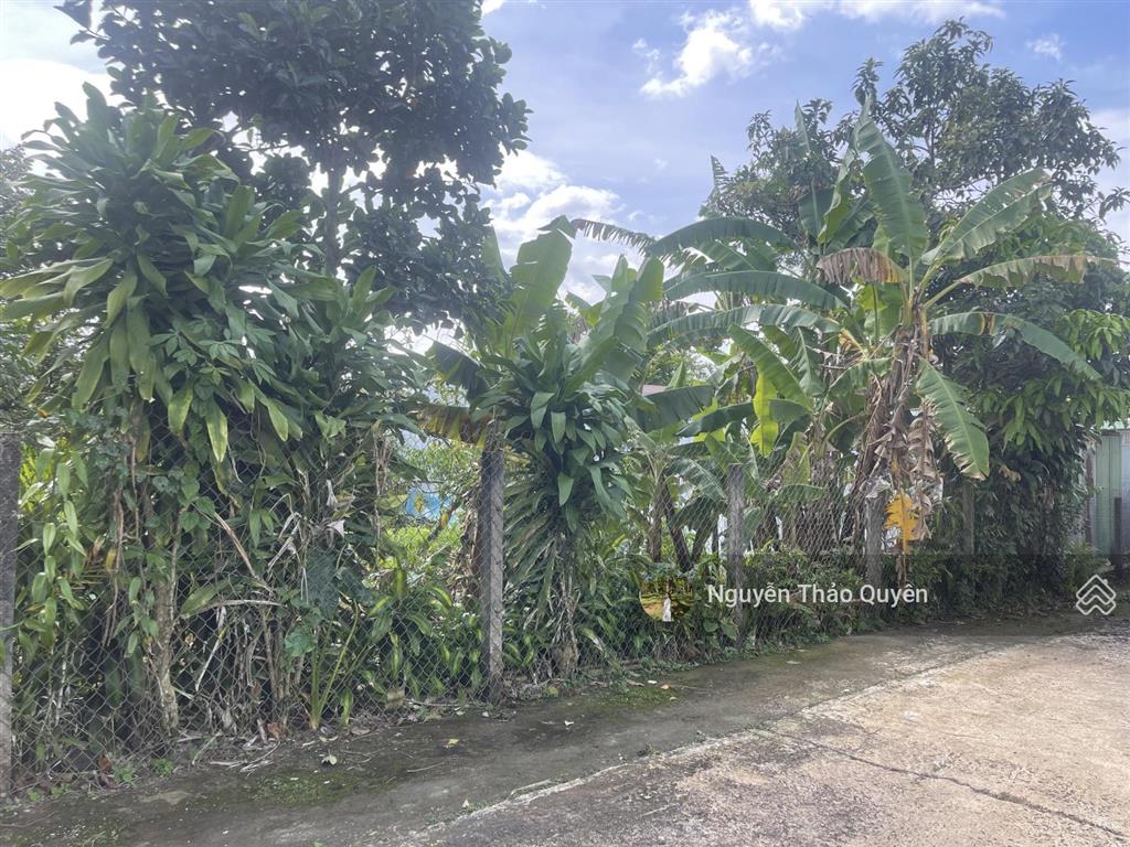 Đất 2 mặt tiền hẻm nhựa 2 ô tô né nhau hẻm bùi thị xuân  phường 1  bảo lộc