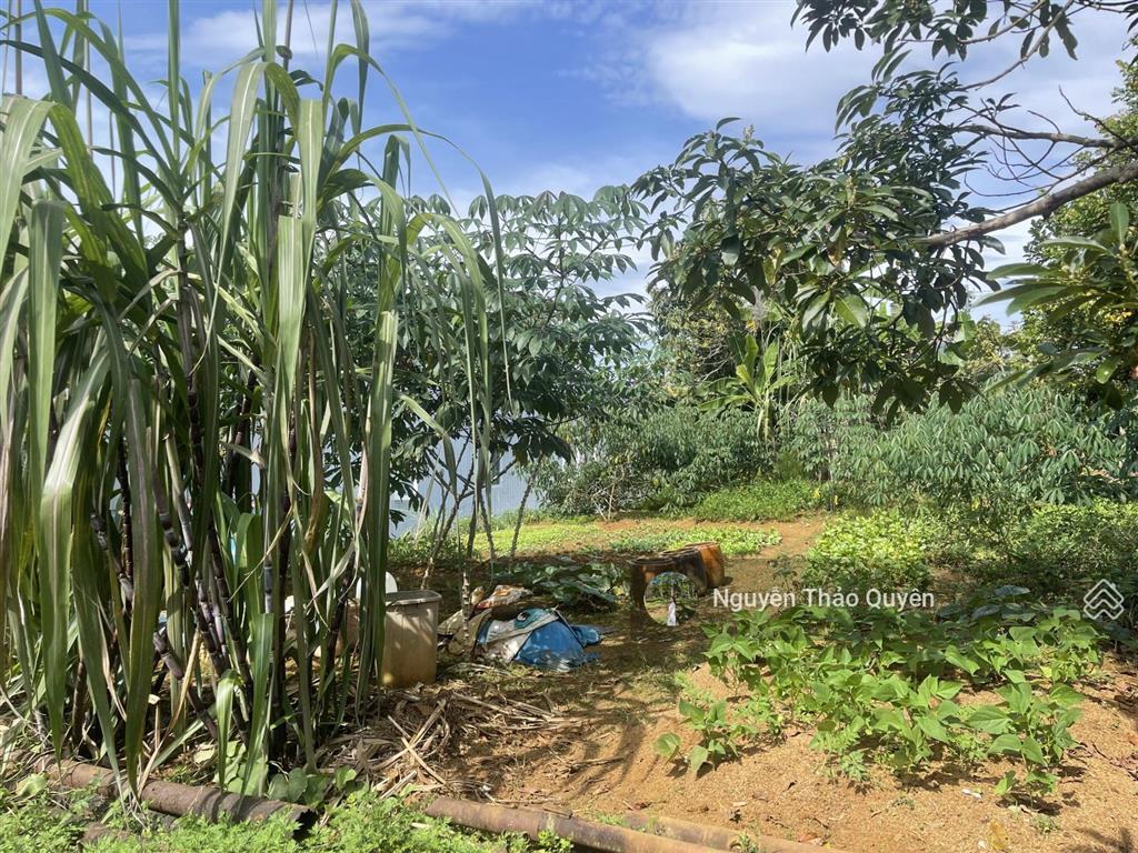 Đất 2 mặt tiền hẻm nhựa 2 ô tô né nhau hẻm bùi thị xuân  phường 1  bảo lộc