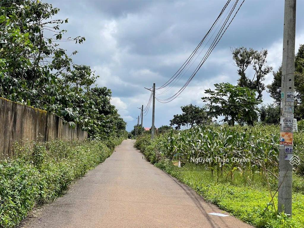 Chính chủ bán đất thôn 12 lộc ngãi  ngay nhà thờ lâm phát  5mx21m sẵn thổ cư giá chỉ 380tr