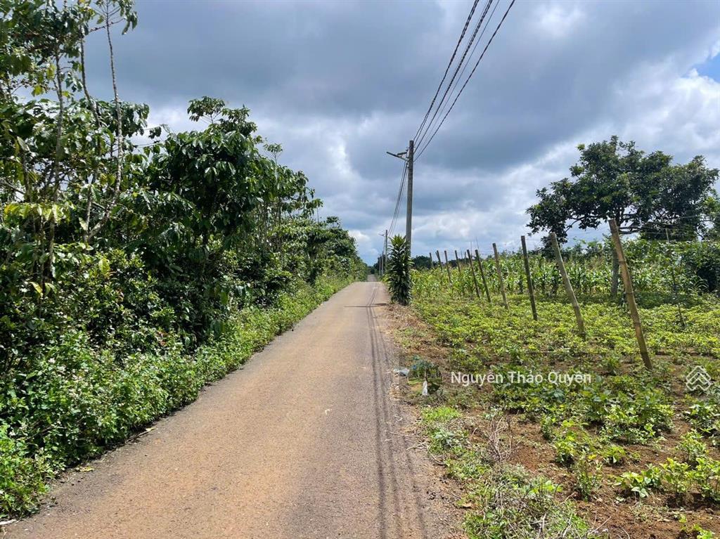 Chính chủ bán đất thôn 12 lộc ngãi  ngay nhà thờ lâm phát  5mx21m sẵn thổ cư giá chỉ 380tr