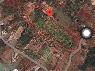 ĐẤT ĐẸP – GIÁ TỐT  - Chính Chủ Cần Bán Nhanh 1,6Ha Đất Tân Phú, Ea Nuôi, Buôn Đôn, Đắk Lắk