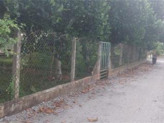 ĐẤT ĐẸP  - GIÁ TỐT - CHính chủ bán lô đất Đẹp Tại Xã Phước Minh, Huyện Dương Minh Châu,