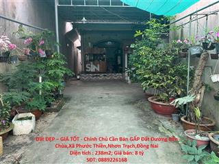 Đất ĐẸP – GIÁ TỐT - Chính Chủ Cần Bán GẤP Đất Đường Bến Chùa,Xã Phước Thiền,Nhơn