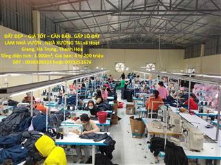 ĐẤT ĐẸP – GIÁ TỐT – BÁN GẤP LÔ ĐẤT  LÀM NHÀ VƯỜN , NHÀ XƯỞNG TẠI xã Hoạt Giang, Hà Trung,