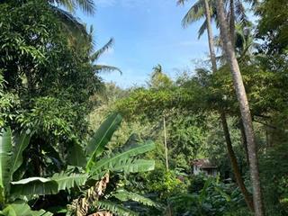 GIÁ TỐT - CHÍNH CHỦ Cần Bán Nhanh Lô Đất Mặt Tiền Đường Y Jút, TP Buôn Ma Thuột