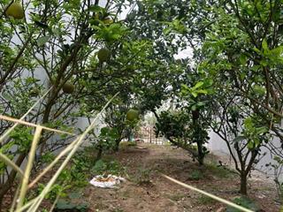 Bán đất cực đẹp Oto tránh Đồng Phố, Tân Dân Phú Xuyên