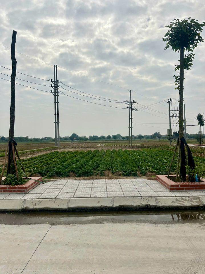 Bán đất đấu giá Cống Đầm cực đẹp, Đại Xuyên Phú Xuyên