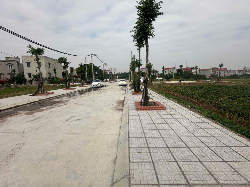 Bán đất đấu giá Cống Đầm cực đẹp, Đại Xuyên Phú Xuyên