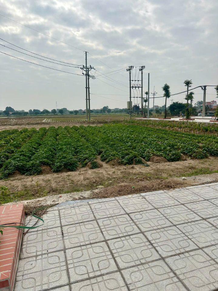 Bán đất đấu giá Cống Đầm cực đẹp, Đại Xuyên Phú Xuyên