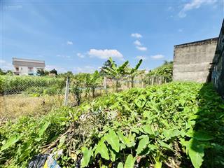 (bán đất bình chánh)  gần đoàn nguyễn tuấn 105m2 (5x21m)  vuông a4  gần mặt tiền  chỉ 1,85 tỷ