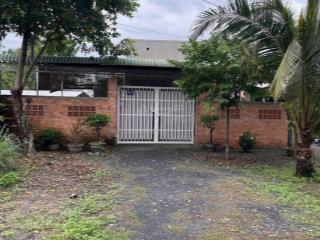 Nhà vườn cấp 4 views kênh 1/ xẹt đường an nhơn tây, củ chi 12 x 45 tổng 524m² có 300m² thổ cư