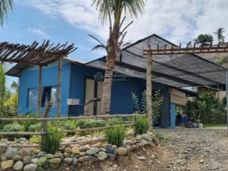 Chính chủ cần bán nhanh farm tại khánh phú khánh vĩnh