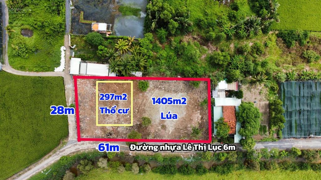1700m2 có 297m2 thổ, lô góc 2 mt đường nhựa, ngang 61m, phân lô được 12 lô, làm nhà vườn, biệt thự