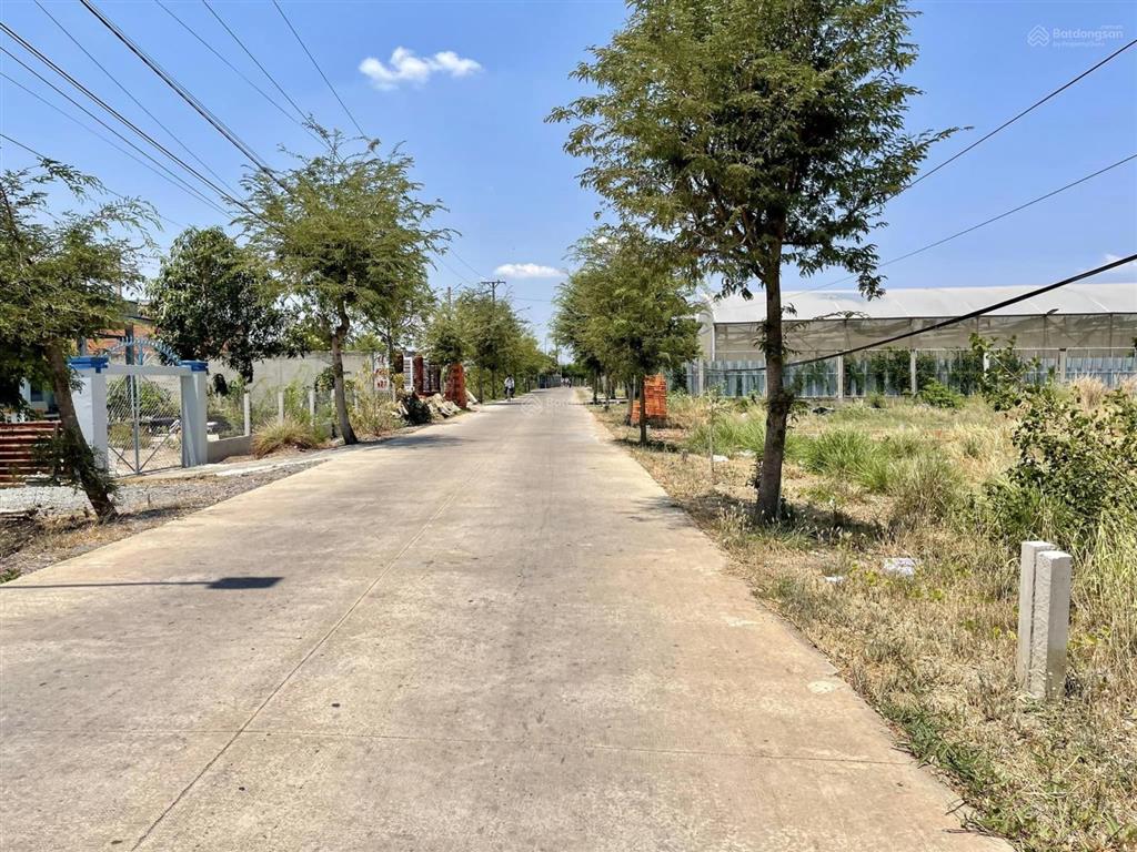 Đất mặt tiền đường nguyễn thị bài, dt 150m2, cách ql50 chỉ 200m, shr, giá rẻ