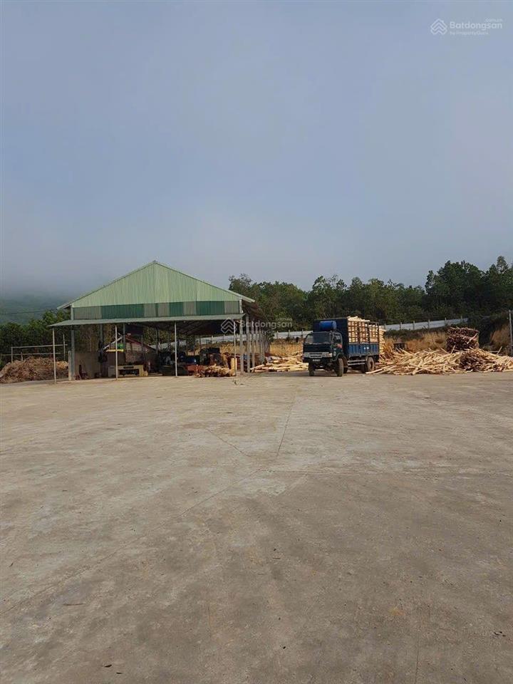 Cần bán 15.000m2 đất trong đó có sẵn nhà xưởng sản xuất dăm gỗ tại quảng nam..