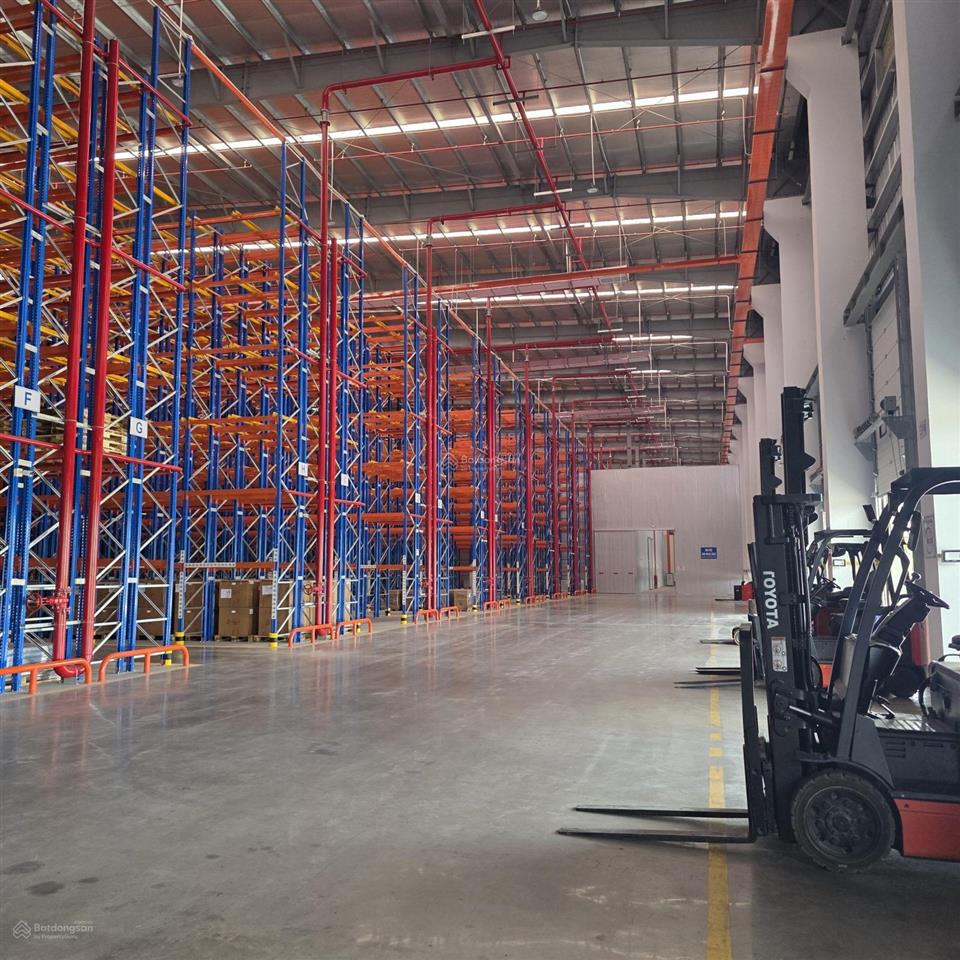 Cho thuê kho diện tích từ 200m2 đến 30.000m2 trung tâm phân phối tại đà nẵng