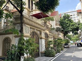 Ai cho mình mượn 30 tỷ để mua nhà phân lô 6t đẹp nhất cầu giấy! 100m2, 2 mặt tiền trước sau
