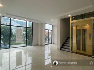 Nhà phố trục d2a trục đường chính đông đúc sầm uất nhất dự án phù hợp spa, văn phòng, showroom