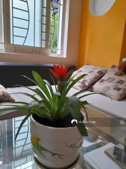 Bán gấp, căn góc 2 mặt thoáng hẻm 5m lê văn sỹ, phú nhuận. dt 5mx13m, cn 65m2, 5 tầng, giá 11 tỷ
