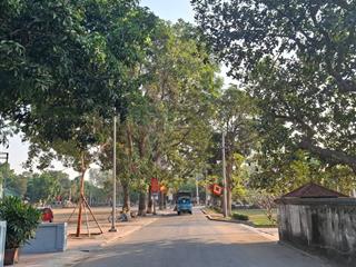 Cổ loa đông anh có bán 90m2 đất, mặt tiền 4m ngõ ô tô tránh ngay cạnh khu di tích cổ loa mà giá cục