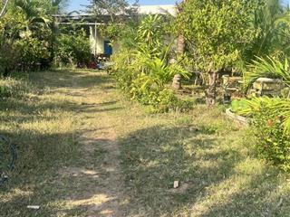 Tôi cần bán khu đất vườn cây ăn trái. shr phù hợp làm trang trại du lịch bình thuận chỉ 849tr/hecta