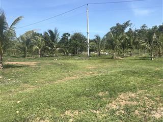 Bán khu đất vườn cây ăn trái phù hợp làm trang trại hoặc du lịch sinh thái có sẵn nhà  dt 22ha shr