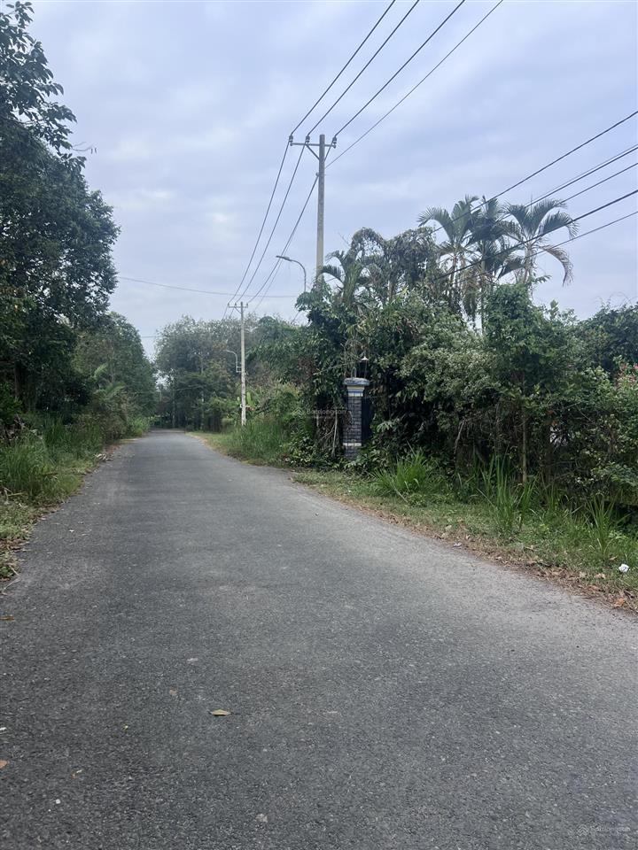 1176m2, mặt tiền đường bùi thị ngọn, an nhơn tây, củ chi. giá 6 tỷ