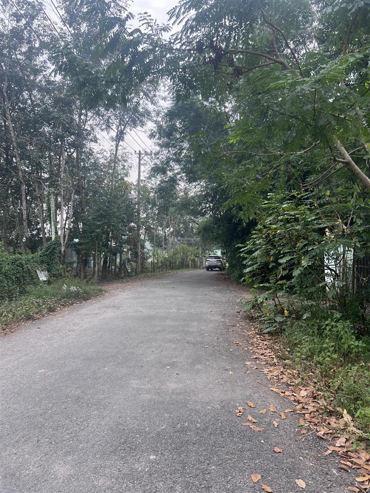 1176m2, mặt tiền đường bùi thị ngọn, an nhơn tây, củ chi. giá 6 tỷ