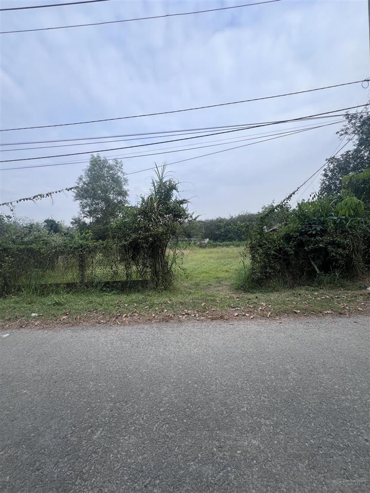 1176m2, mặt tiền đường bùi thị ngọn, an nhơn tây, củ chi. giá 6 tỷ