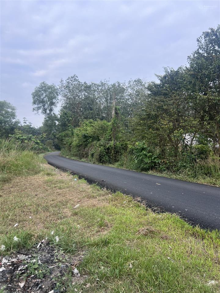 Bán đất tặng kèm nhà cấp 4, kho xưởng xây full đất