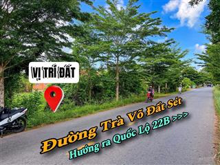 Bán đất tại trà võ  đất sét, thạnh đức, gò dầu, tây ninh, giá cực chất 1,7 tỷ, 321 m2
