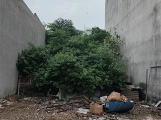 Chỉ 70tr/m2, sát mặt tiền lê trọng tấn hẻm xe hơi 8m  2 lô đất ở 105m2  4.3x25. chỉ hơn 7 tỷ/lô