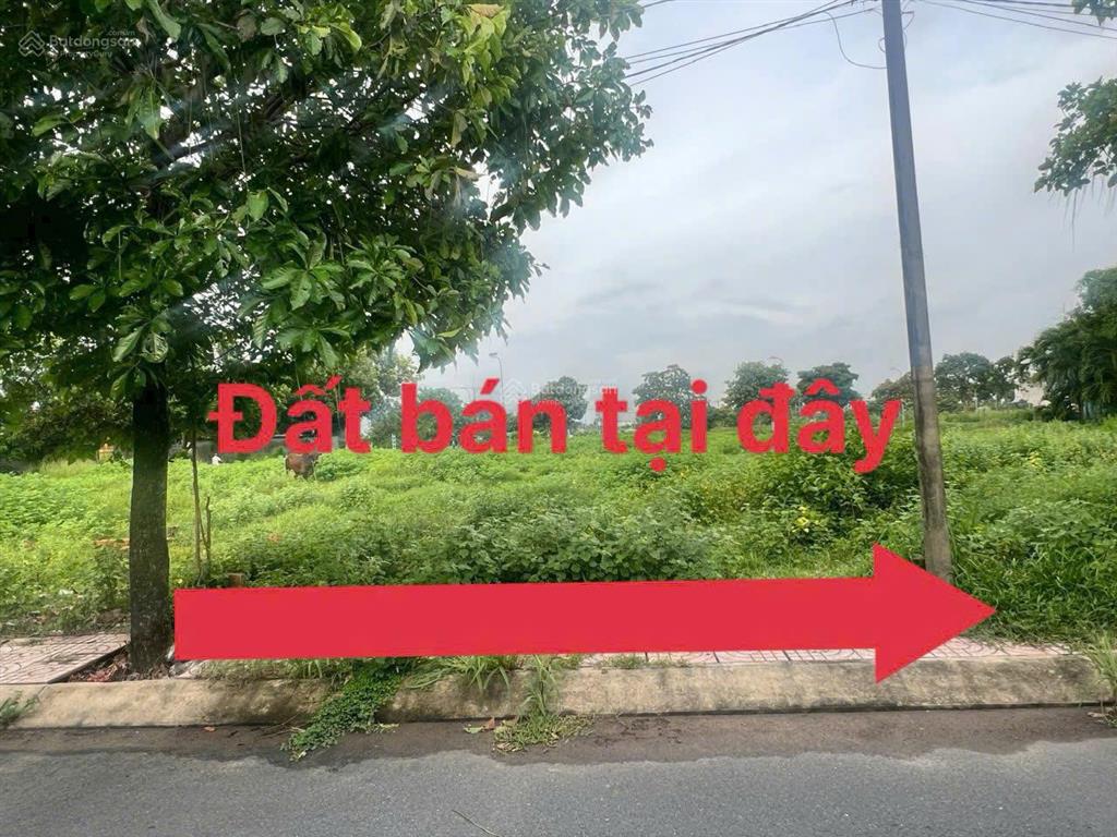 Chủ gửi 1 sẹc mt hồ văn tắng đường nhựa, khu sầm uất nhất tân phú trung sổ hồng riêng bao sổ