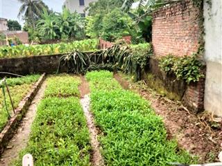 Bán đất kim sơn, gia lâm, hà nội, dt 50,1m, mt 4,23m,ngõ thông, gần chợ, trường học, chỉ 2,6 tỷ.